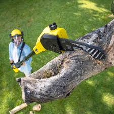 Best Pest Control for Lawns  in Elgin, MN